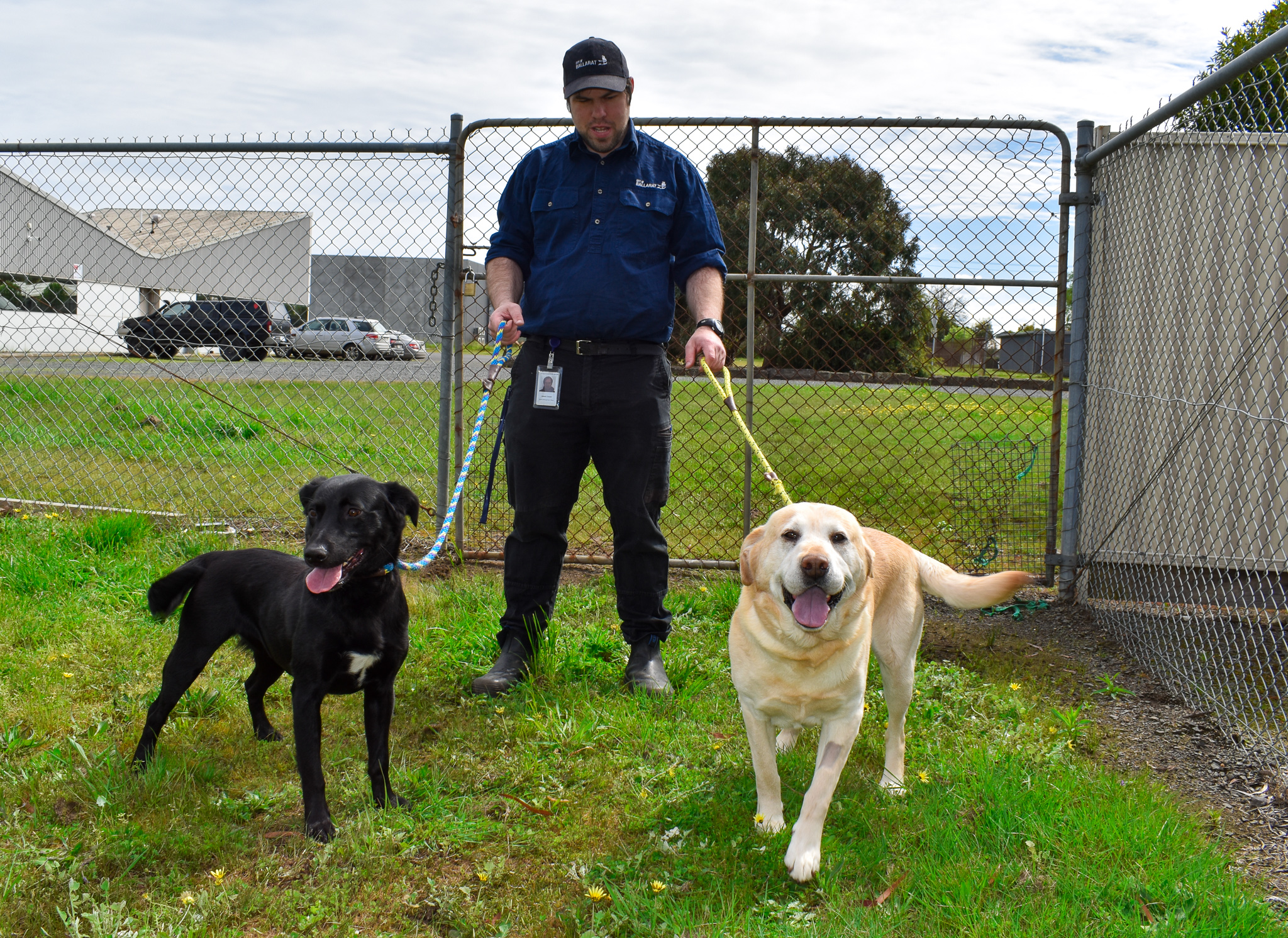 Animal_Shelter_staff_and_handler_Joseph_with_Shadow_and_Snowy_2_0.jpg